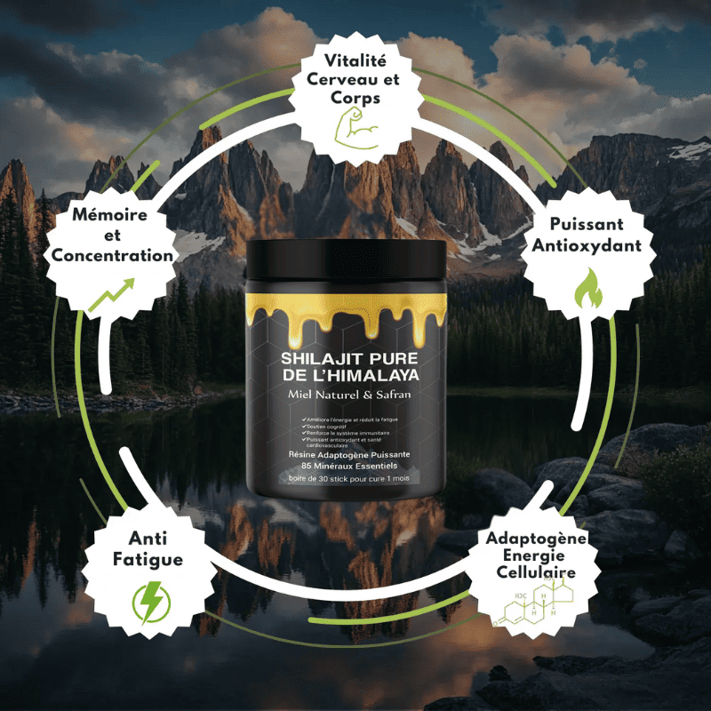 Shilajit Pure Vitalité - Booster Mental et immunitaire